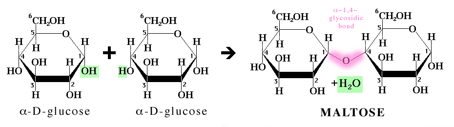 examples-of-chemical-reactions-in-everyday-life